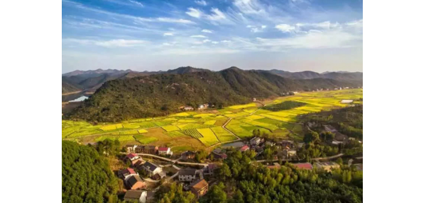 美天垃圾桶美化杉橋鎮(zhèn)