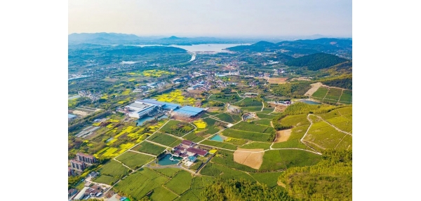 美天垃圾桶來到宜興市茂花村